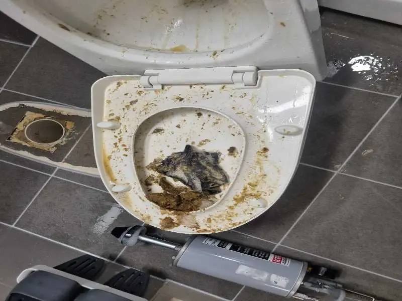 영등포구 변기막힘 작업사례 5